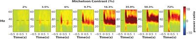 Tuning Neural Synchronization: The Role of Variable Oscillation Frequencies in Neural Circuits